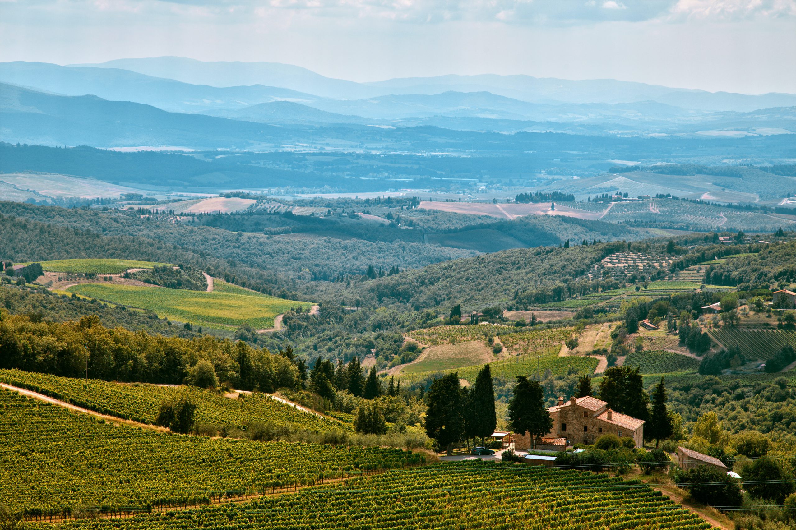 Chianti Tour